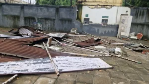 पाकिस्तान में भारतीय दूतावास के पास से हटाए गए खंभे, भारत ने भी चला दिया बुलडोजर, लिया बदला